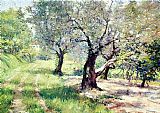William Merritt Chase The Olive Grove painting